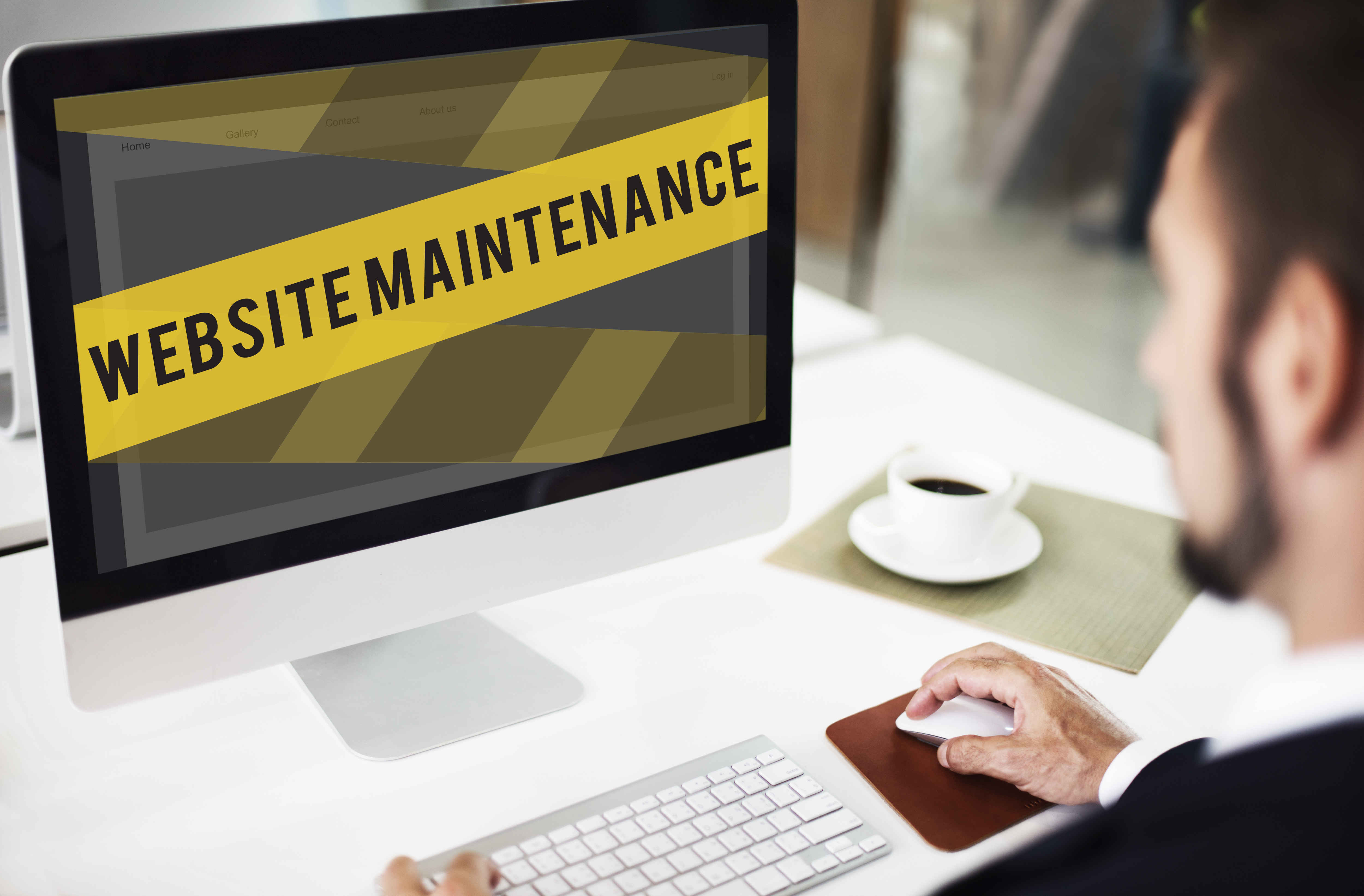 Software Maintenance and Support